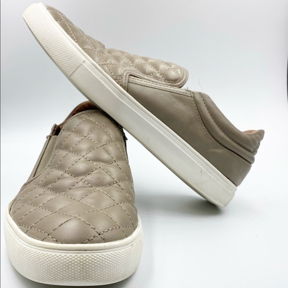 Steve Madden Ecentrcq Low Top Slip On Sneakers